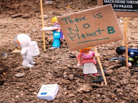 Festival dello sviluppo sostenibile 2019 - There's no planet B lego image